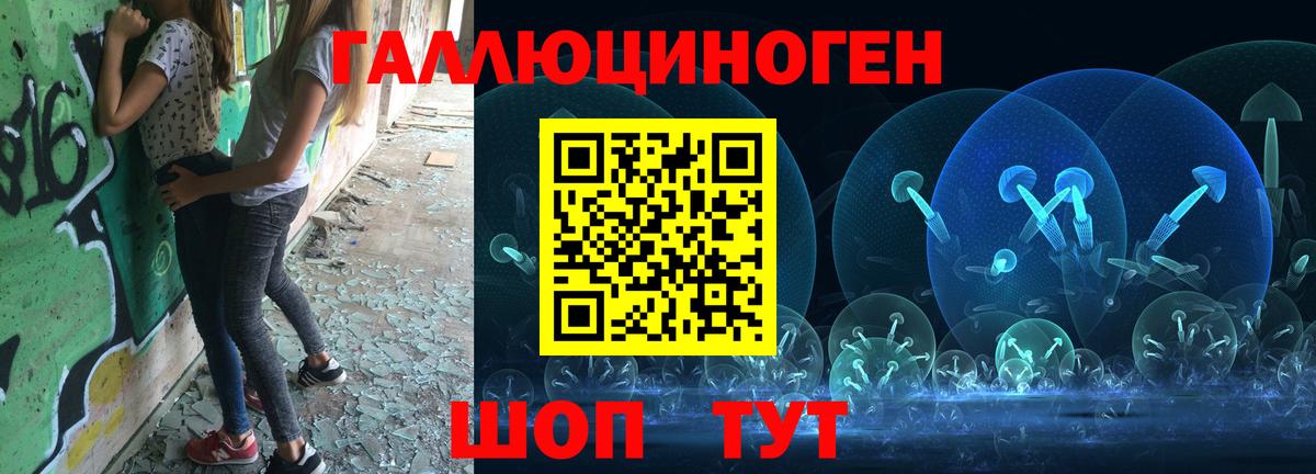 Псилоцибиновые грибы Psilocybine cubensis Северобайкальск
